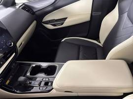 2024 Lexus NX 450h+ Luxury